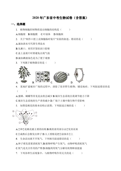 2020年广东省中考生物试卷(含答案)
