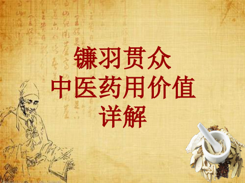 中药学_镰羽贯众_药材详解课件模板