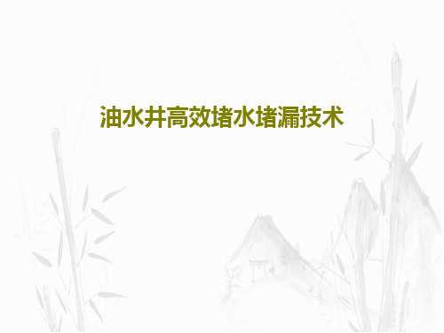 油水井高效堵水堵漏技术56页PPT