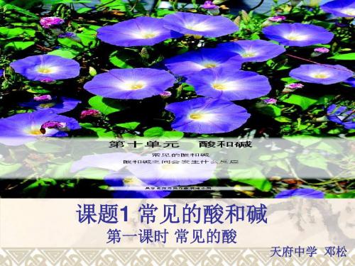 常见的酸 PPT教学课件10 人教版