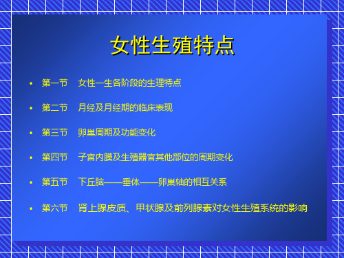 女性生殖器官章节ppt课件