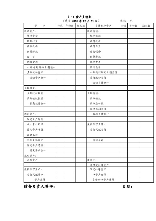 社会团体财务报表模板