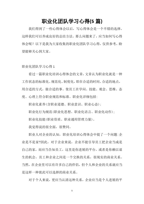 职业化团队学习心得(5篇)