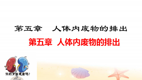第五章 人体内废物的排出-人教版七年级生物下册课件(共21张PPT)