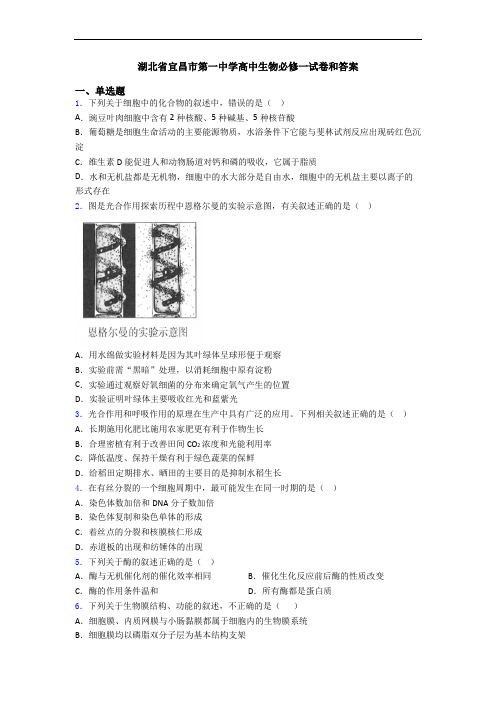 湖北省宜昌市第一中学高中生物必修一试卷和答案