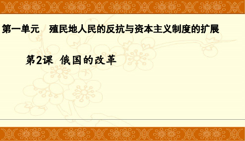 人教部编九年级历史下册第一单元殖民地人民的反抗与资本主义制度的扩展第2课俄国的改革课件共23张PPT