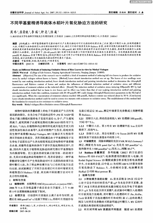 不同甲基紫精诱导离体水稻叶片氧化胁迫方法的研究