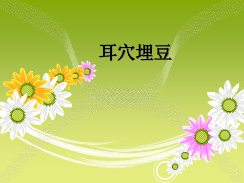 耳穴埋豆