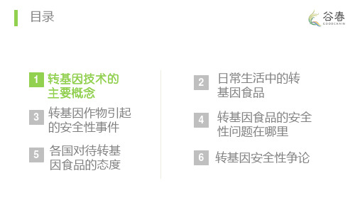 转基因的基础知识