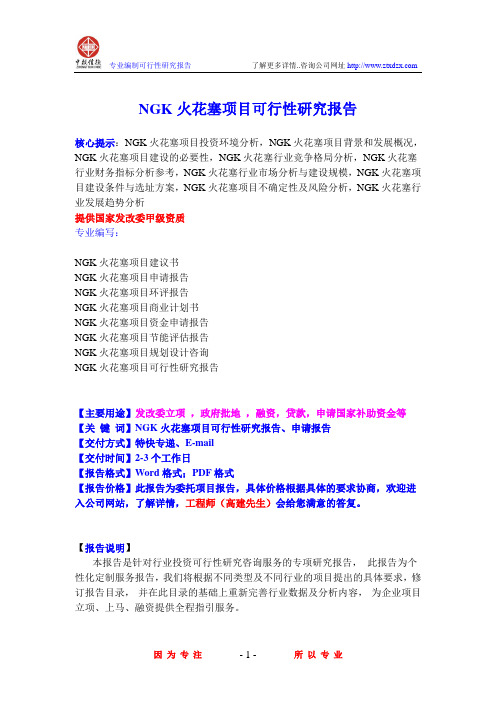 NGK火花塞项目可行性研究报告