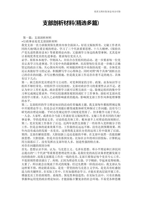 支部剖析材料(精选多篇)