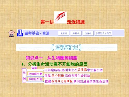 【三维设计】(安徽专用)高考生物大一轮复习 第一单元 第一讲 走近细胞名师优质课件 新人教版必修1