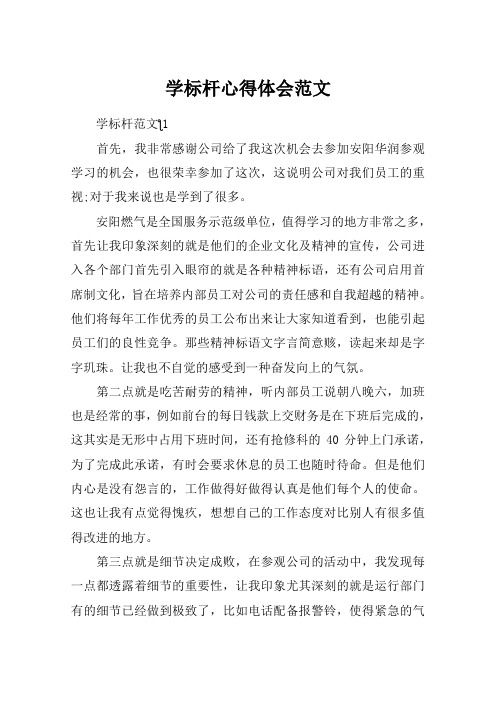 学标杆心得体会范文