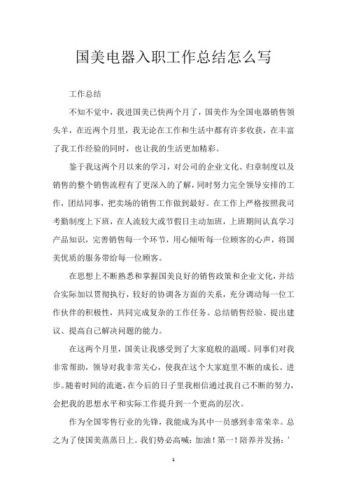 国美电器入职工作总结怎么写