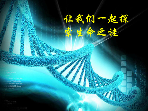 初中生物北师大版八年级上册第2节 性状遗传的物质基础