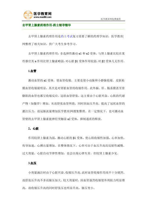 去甲肾上腺素的来源及化学以及药理作用