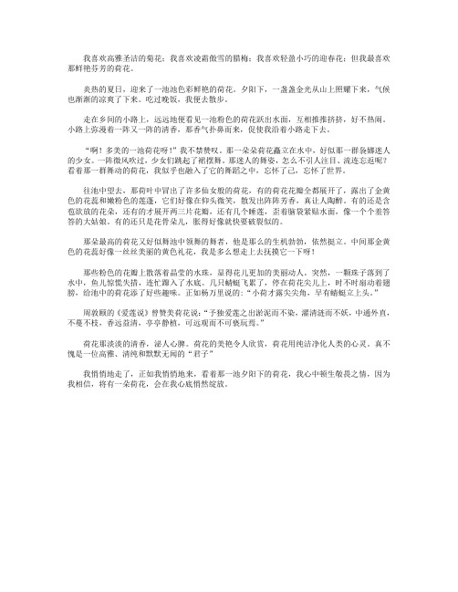 高分作文范文-水中芙蓉