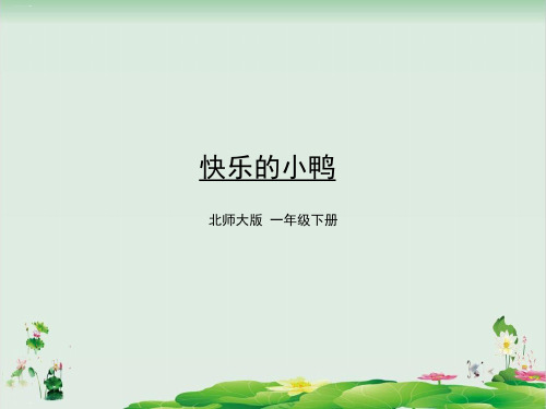 一年级下册数学精品课件：快乐的小鸭(北师大版)PPT