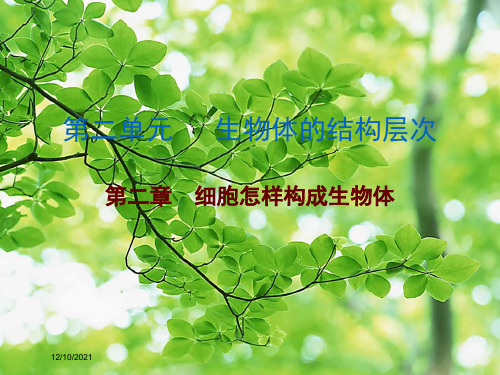 中考生物 第二单元 第二章 细胞怎样构成生物体复习生物课件1