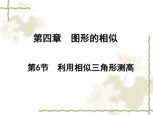 4.6利用相似三角形测高