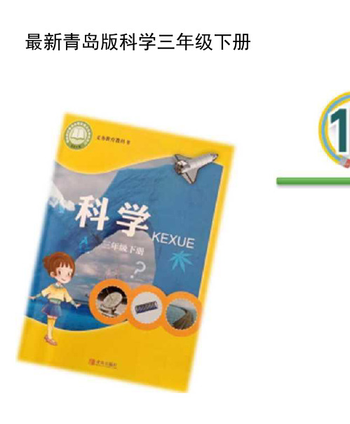青岛版科学三年级下册《弹簧里的学问》优质课件