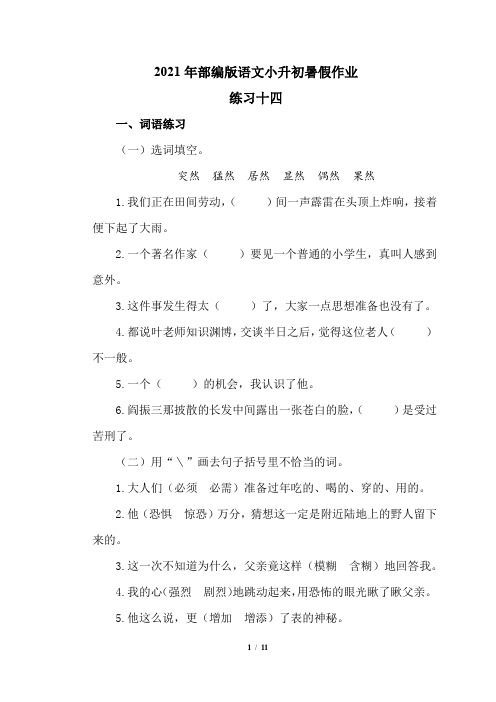 六年级下册语文试题 小升初暑假作业练习十四(含答案) 部编版