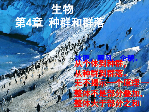 高考生物复习课件种群的特征