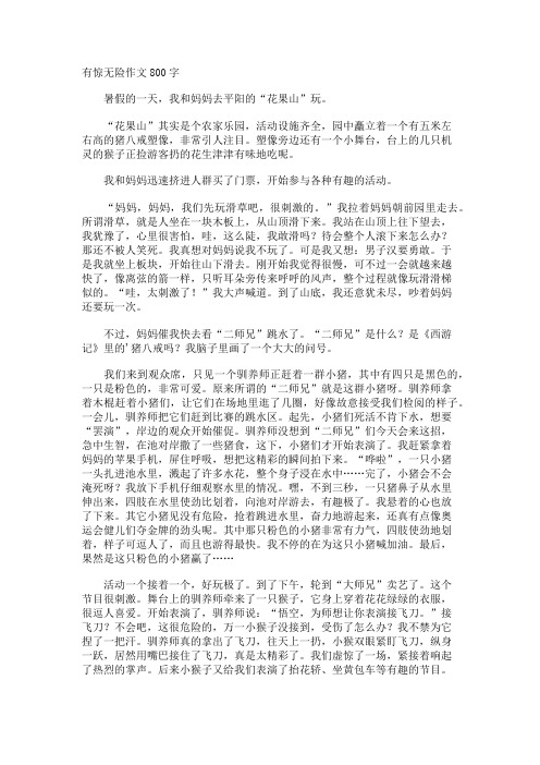 有惊无险作文800字