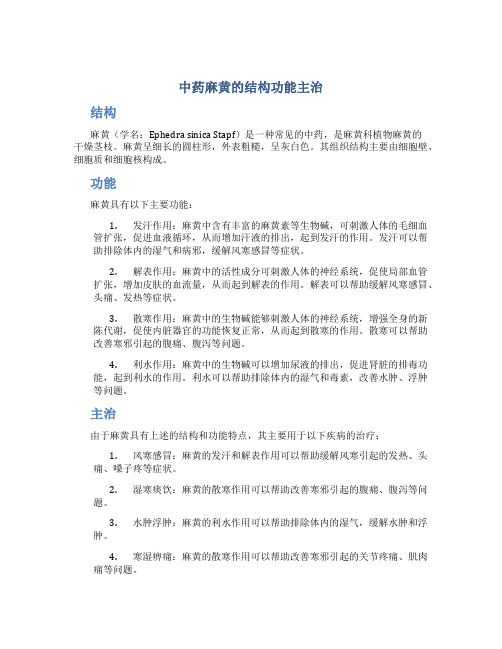 中药麻黄的结构功能主治