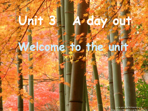 英语：Unit 3 Welcome to the Unit 课件(译林牛津版八年级上)