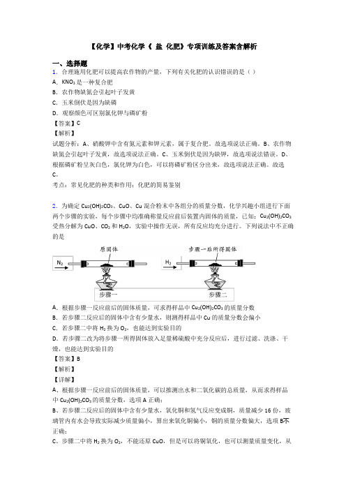 【化学】中考化学《 盐 化肥》专项训练及答案含解析