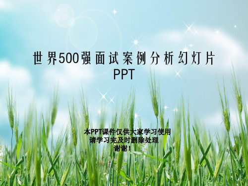 世界500强面试案例分析幻灯片PPT