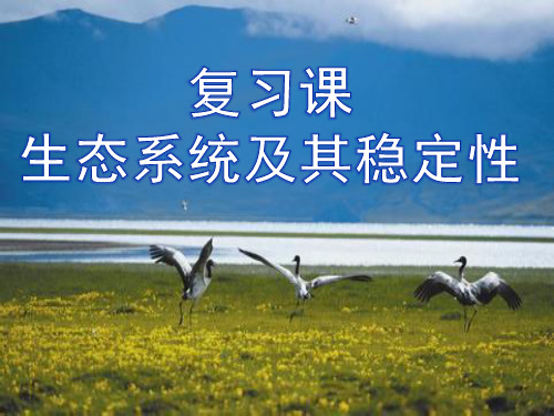 生物八年级下北师大版23.1生物的生存依赖一定的环境课件(16张)