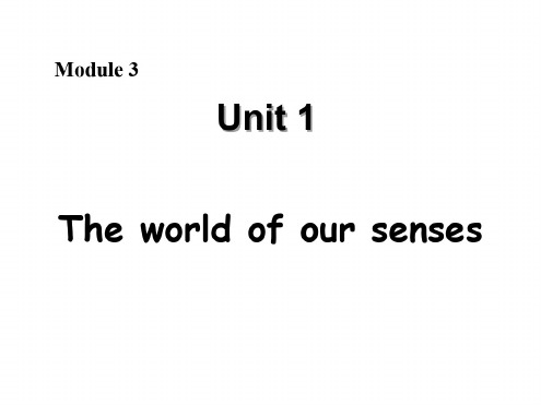 高二英语the-world-of-our-sense课件6