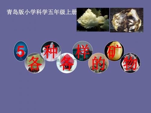 5_各种各样的矿物一