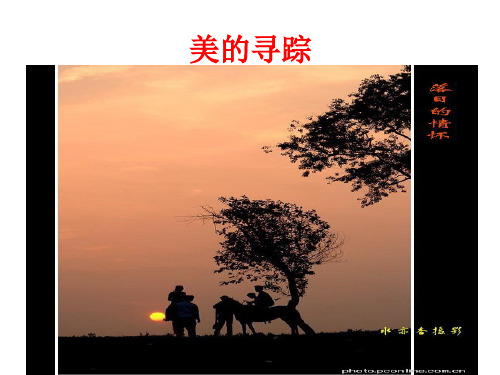 景物描写作用赏析题