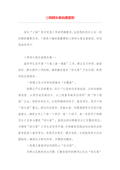 三转回头看自查报告