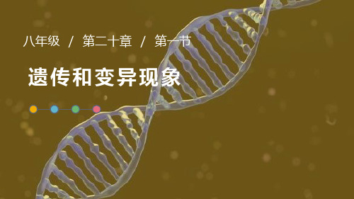 北师大版八年级生物上册 遗传和变异现象 教学课件