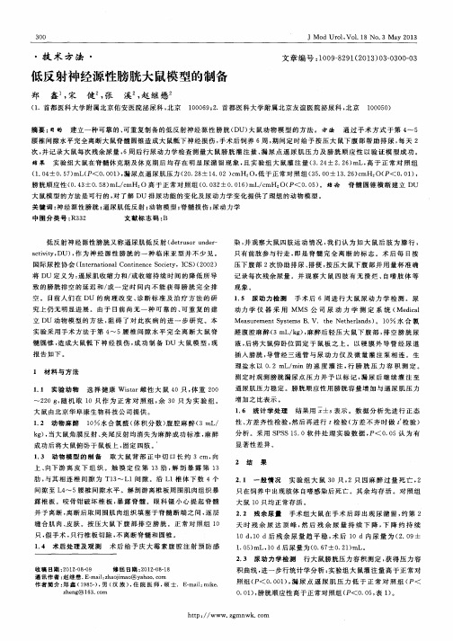 低反射神经源性膀胱大鼠模型的制备