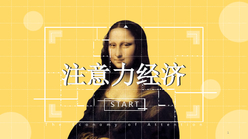 什么是注意力经济学ppt课件