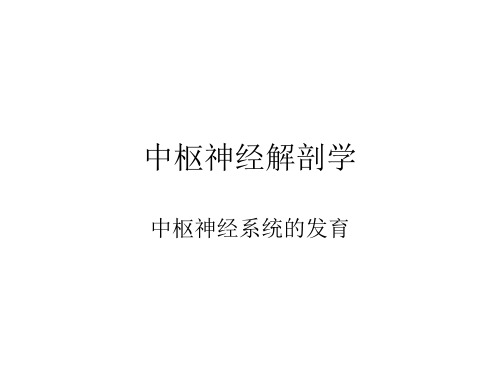 中枢神经解剖学chapter_4_中枢神经系统的发育