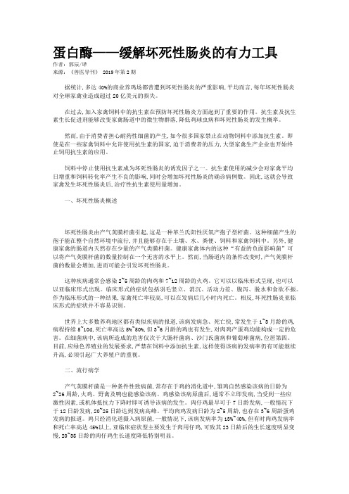 蛋白酶——缓解坏死性肠炎的有力工具 