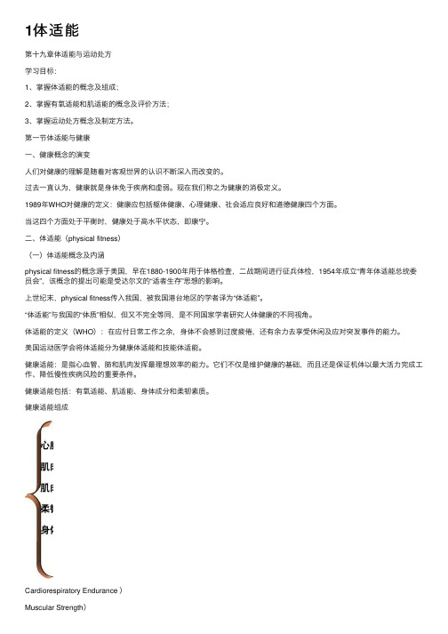 1体适能——精选推荐