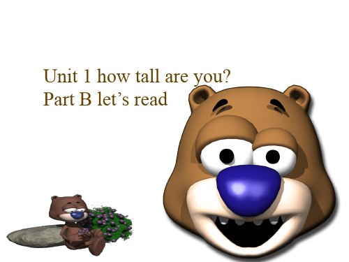 Pep人教版六年级下册英语Unit1《 How tall are you》Part B let’s read课件