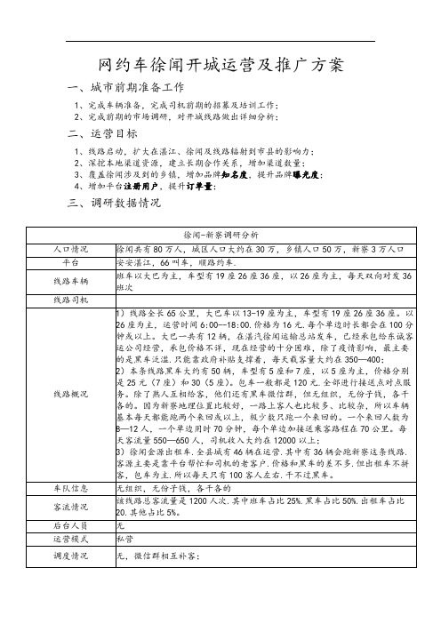 网约车湛江徐闻至新寮运营推广方案
