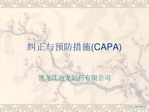 纠正及预防措施(CAPA)