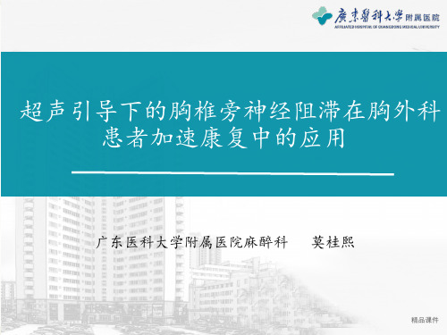 超声引导下的胸椎旁阻滞
