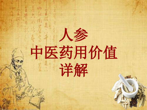 中药学_人参_药材详解课件模板