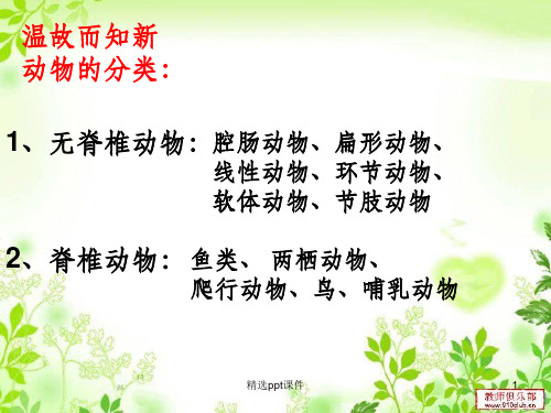 八年级生物上册《第一章-第五节-两栖动物和爬行动物》完整ppt课件