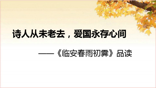《临安春雨初霁》ppt课件